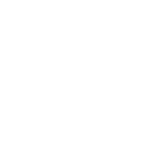 Fineline tattoo antwerpen
